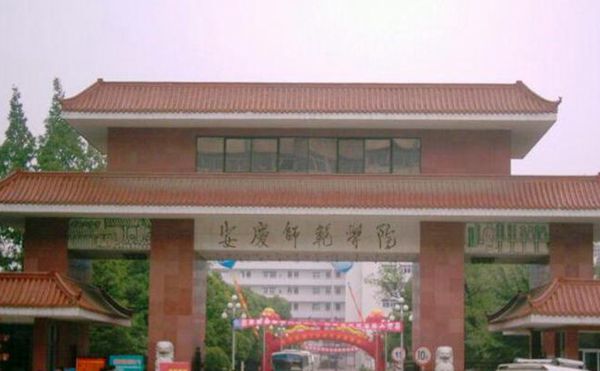 安庆师范大学本科分数线