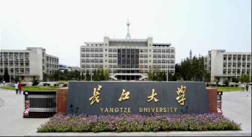 长江大学美术专业分数线