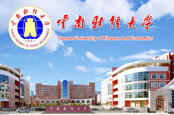 云南财经大学美术高考本科招生计划