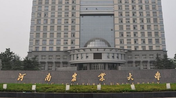 河南农业大学2021年艺术类本科分数线