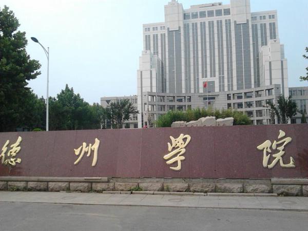 德州学院2021年艺术类本科分数线