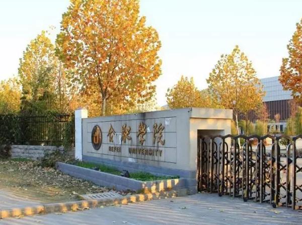 合肥学院美术高考本科分数线