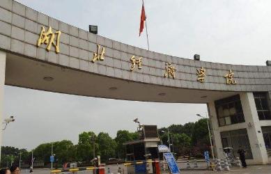 湖北经济学院2021年美术艺考本科分数线