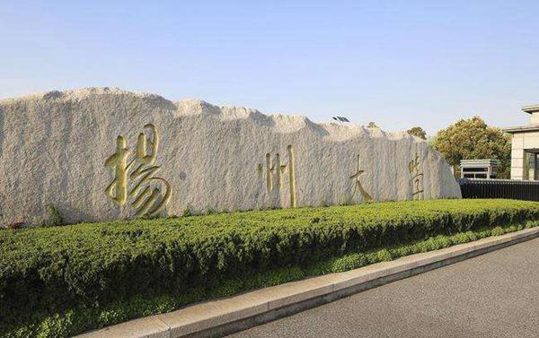 扬州大学2021年美术艺考录取分数线