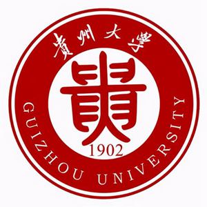 贵州大学2021年美术艺考本科分数线