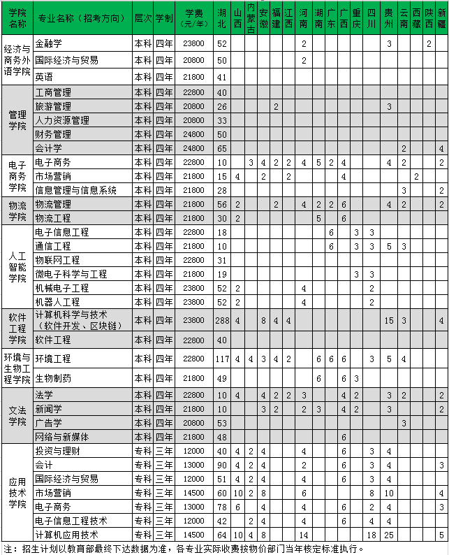2020年武汉工商学院美术专业学费多少钱