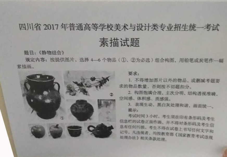 2017年四川美术联考/统考考题素描