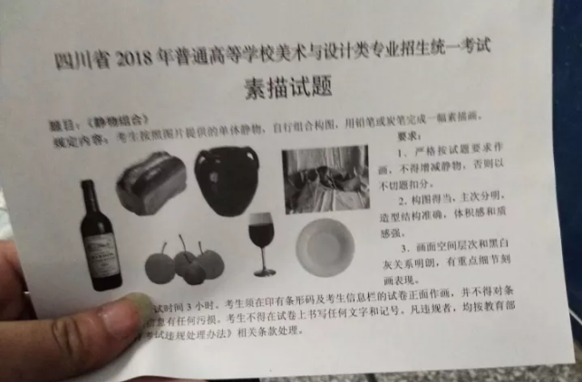 2018年四川美术联考/统考考题素描
