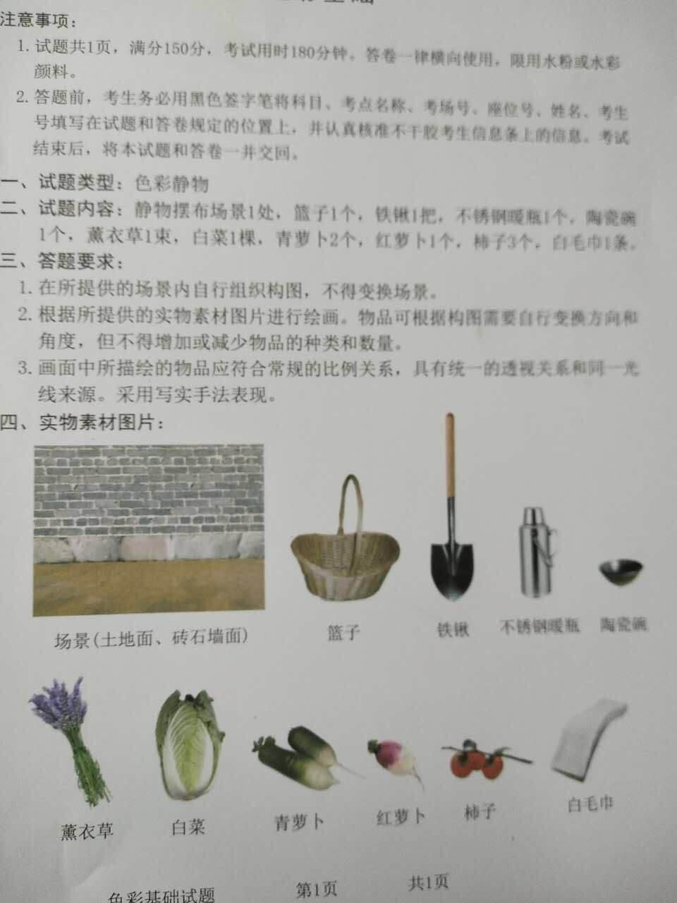 2018年山东美术联考/统考考题色彩
